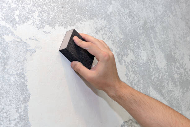 Best Black Mold Removal  in Sun City Center, FL