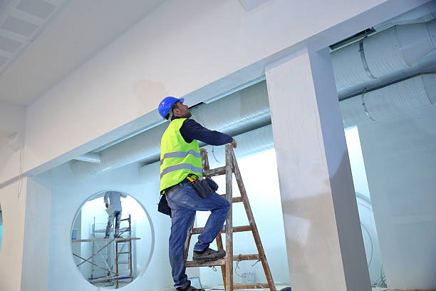 Best Forensic Mold Investigation  in Sun City Center, FL