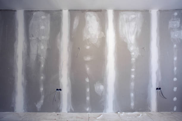 Best Biohazard Mold Removal  in Sun City Center, FL